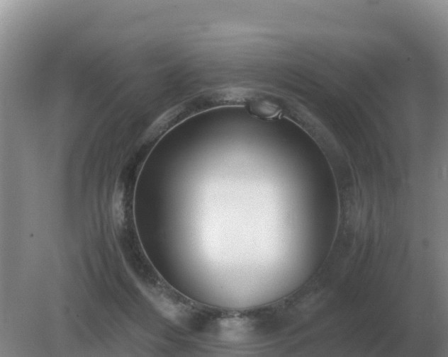 X0000079320216200611251813