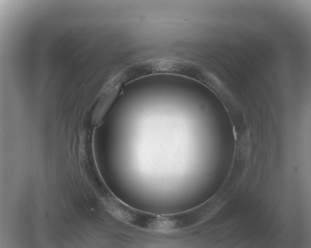 X0000079320217200611251813