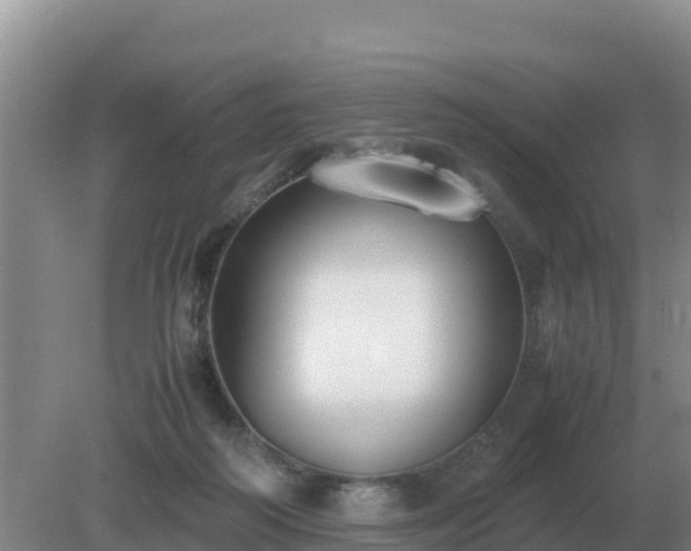 X0000079320218200611251813