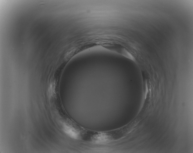 X0000079320219200611251813