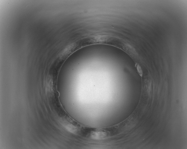 X0000079320220200611251813