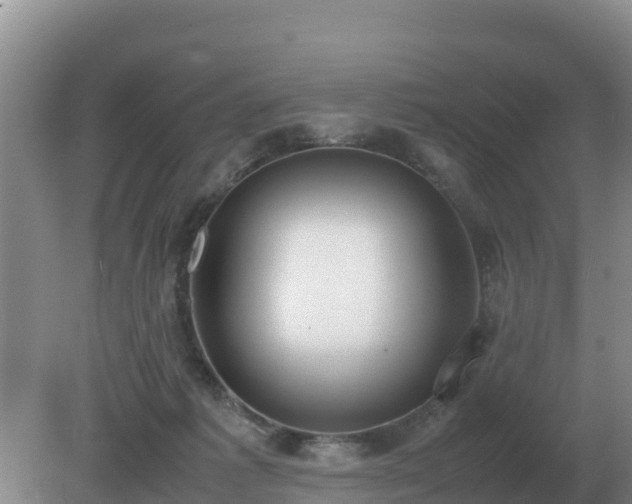 X0000079320221200611251813