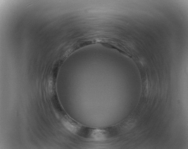 X0000079320222200611251813