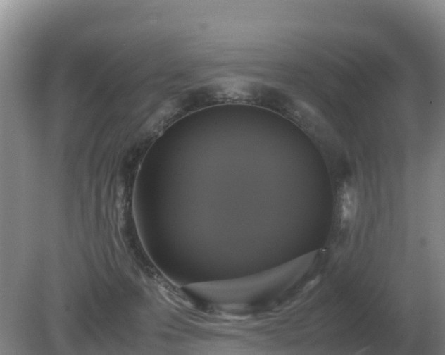 X0000079320223200611251813