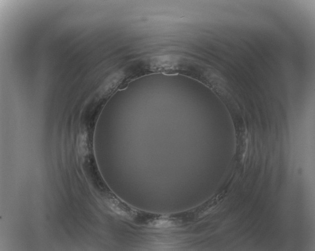 X0000079320224200611251813