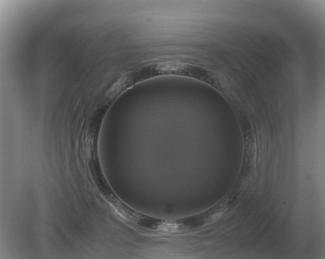 X0000079320227200611251813