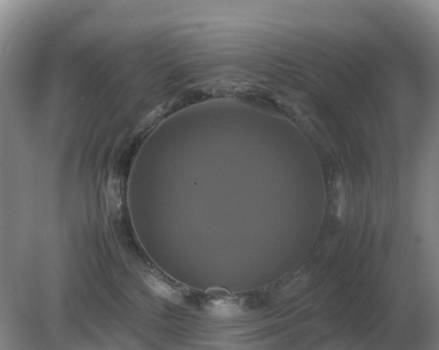 X0000079320232200611251813