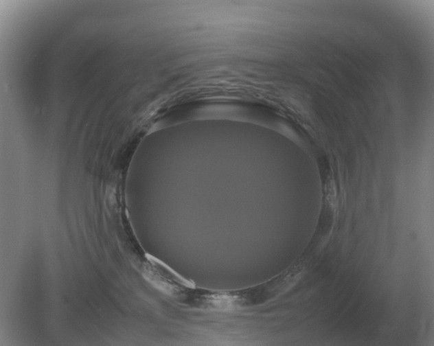 X0000079320233200611251813