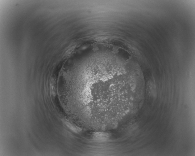 X0000079320234200611251813