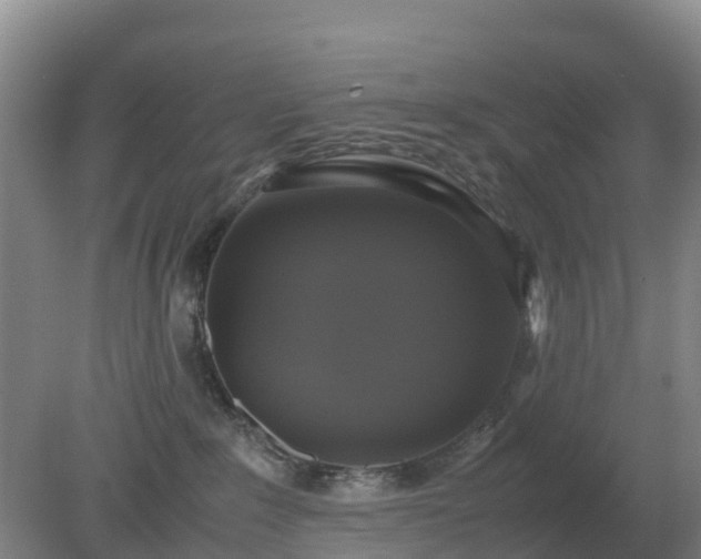 X0000079320235200611251813