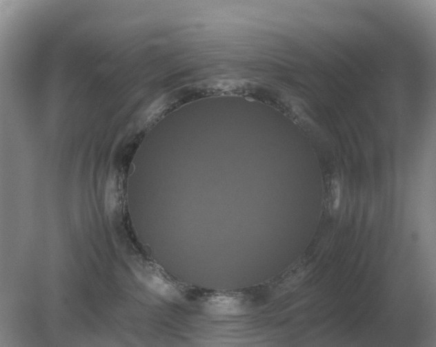 X0000079320236200611251812