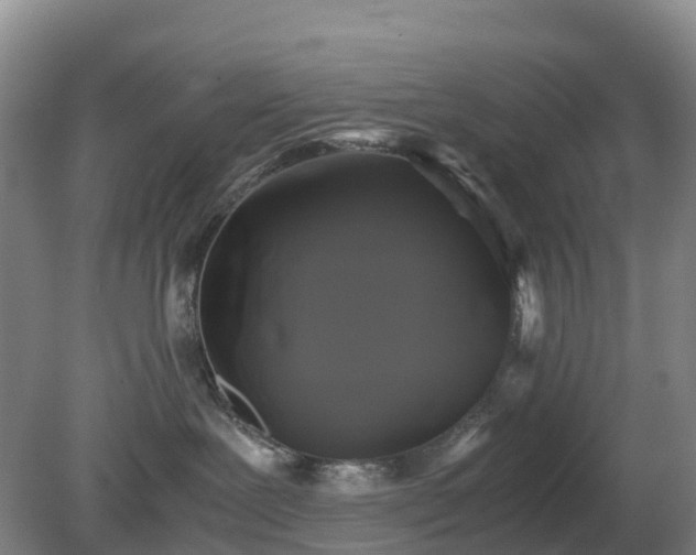 X0000079320239200611251812