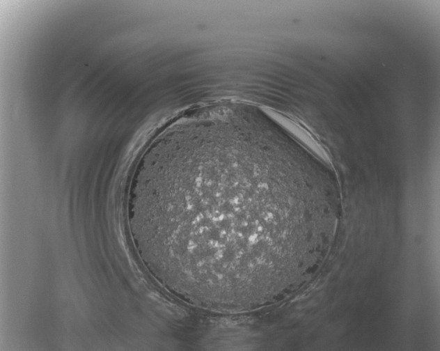 X0000079320241200611251812