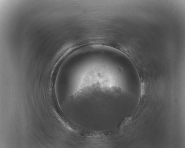 X0000079320243200611251812