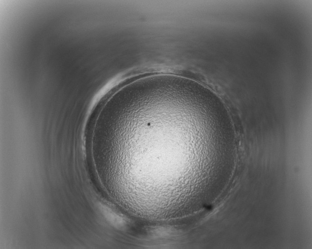 X0000079320246200611251812