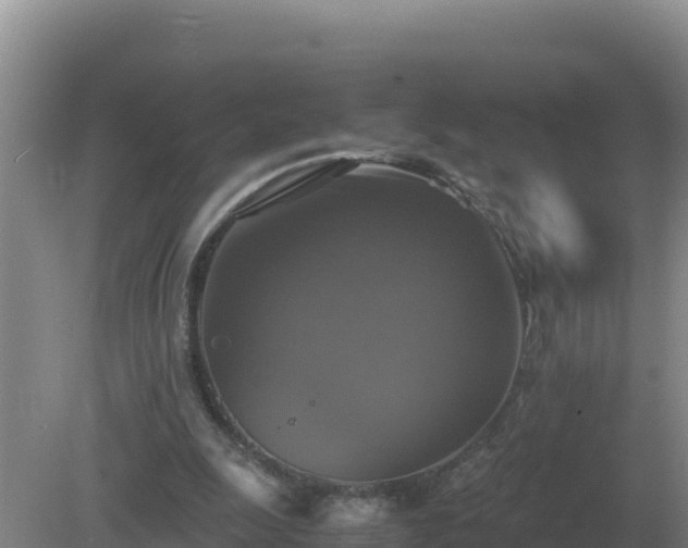 X0000079320247200611251812