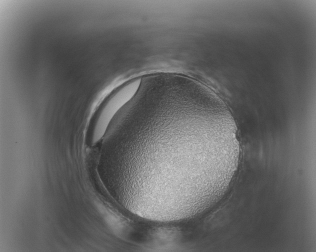 X0000079320248200611251812