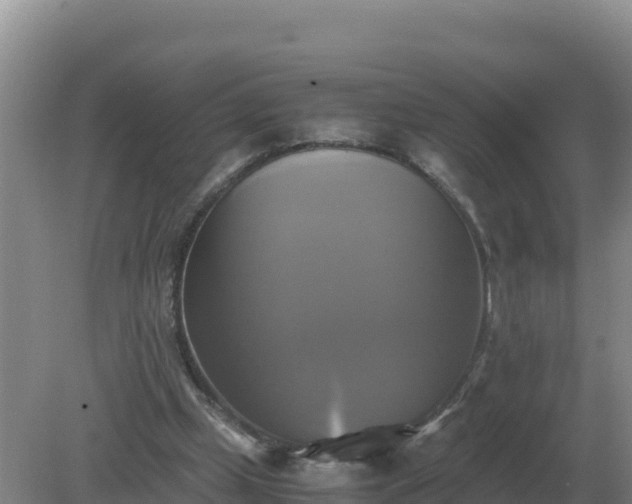 X0000079320249200611251812