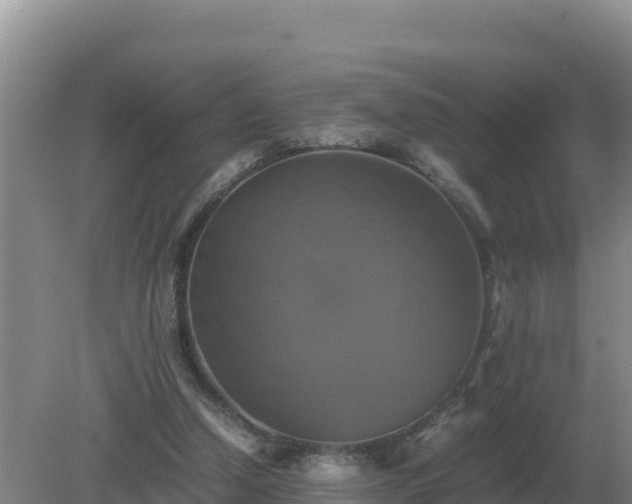 X0000079320250200611251812