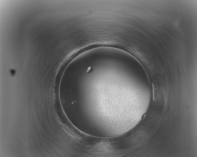 X0000079320252200611251812