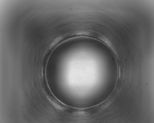 X0000079320253200611251812