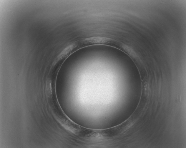 X0000079320254200611251812