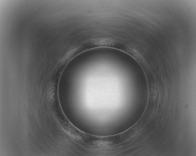 X0000079320255200611251812