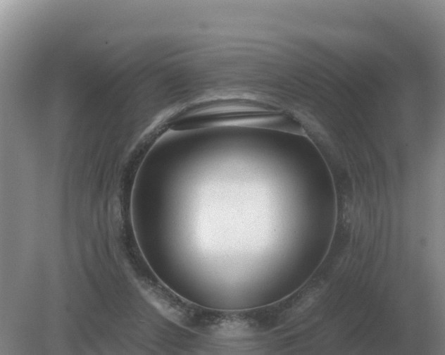 X0000079320256200611251812