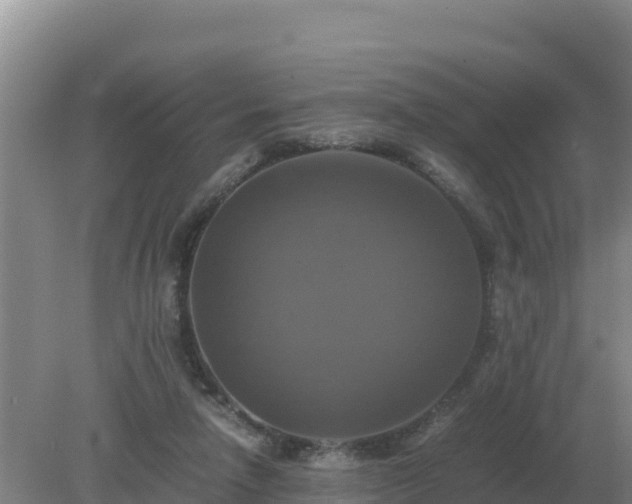 X0000079320258200611251812