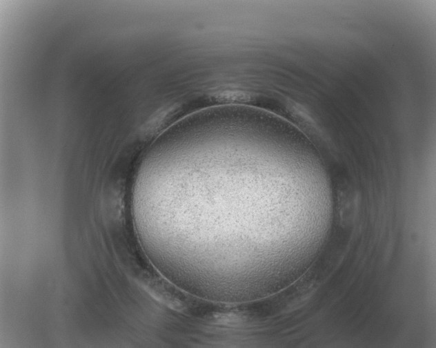 X0000079320259200611251812