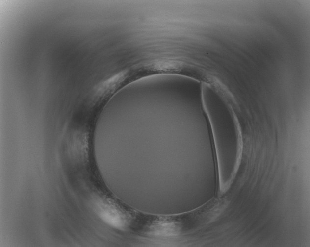 X0000079320260200611251812