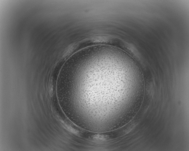 X0000079320261200611251812