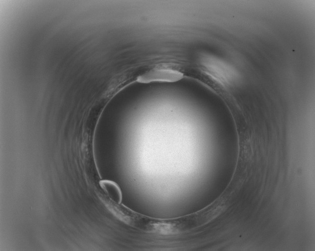 X0000079320265200611251812