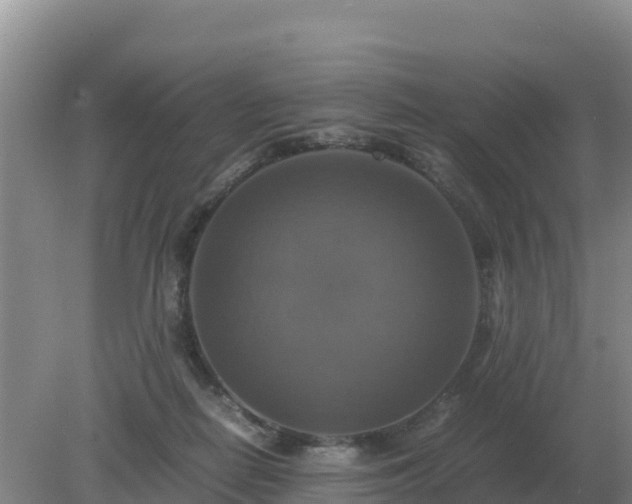 X0000079320266200611251812