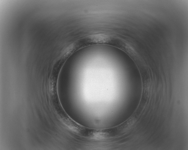 X0000079320268200611251812