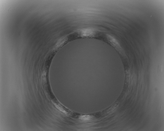 X0000079320269200611251812