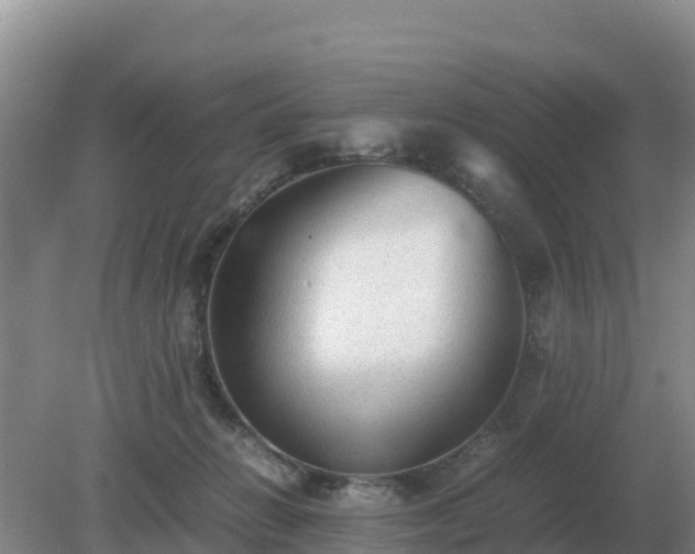 X0000079320270200611251812