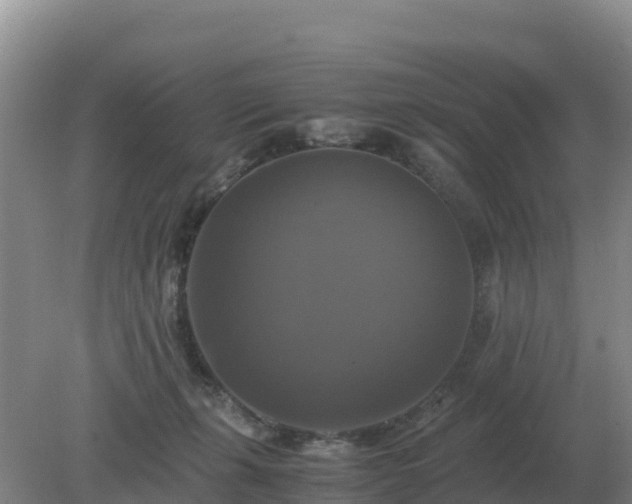 X0000079320271200611251812