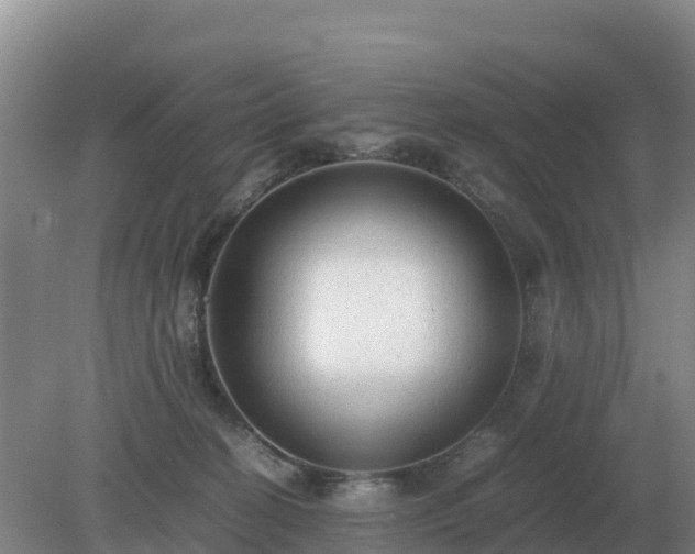 X0000079320274200611251812