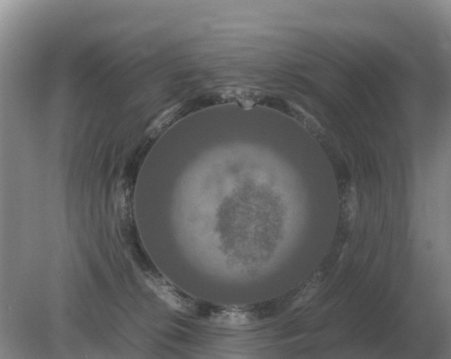 X0000079320276200611251812