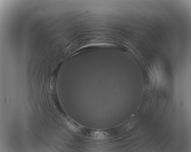 X0000079320277200611251812