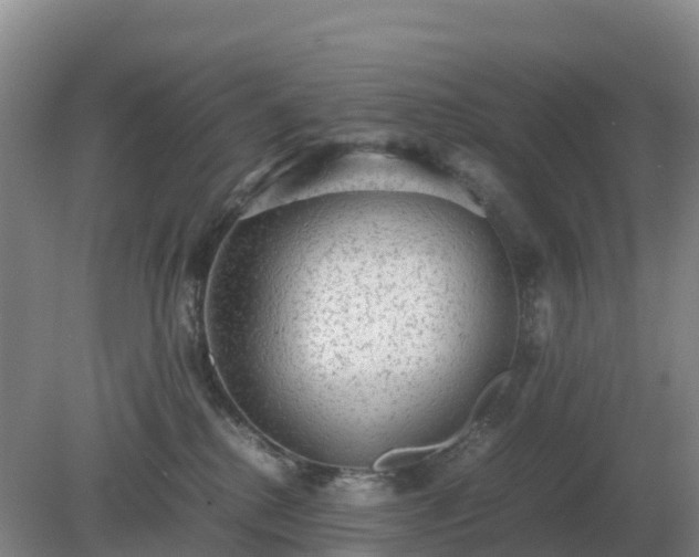 X0000079320280200611251812