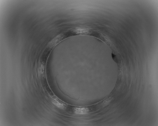 X0000079320281200611251812