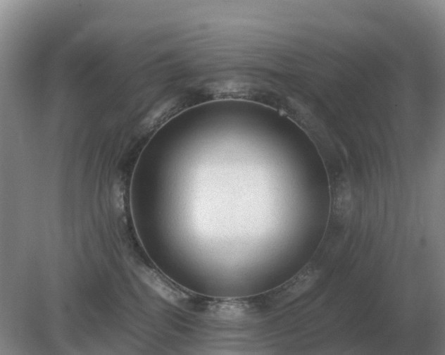 X0000079320282200611251812