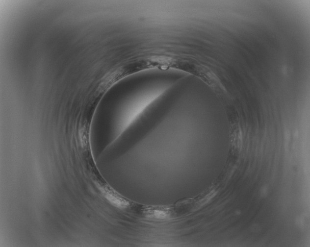 X0000079320285200611251812