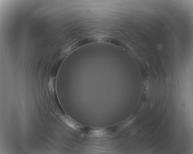 X0000079320286200611251812