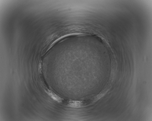 X0000079320288200611251812