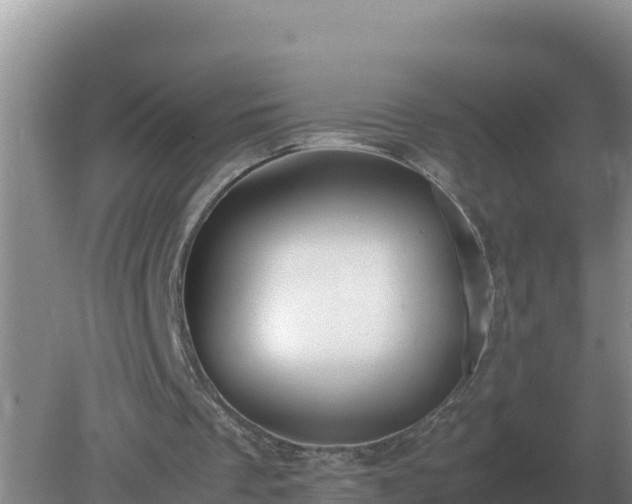 X0000079320289200611251812