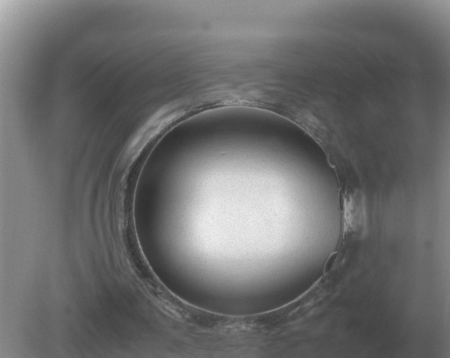 X0000079320291200611251812