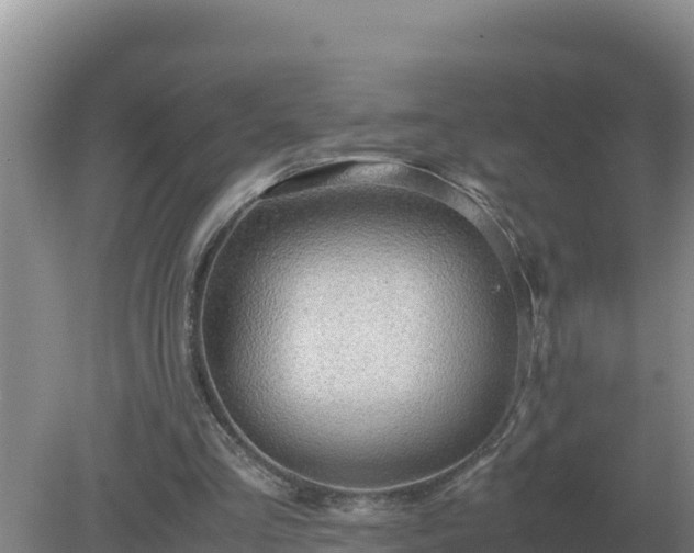 X0000079320293200611251812